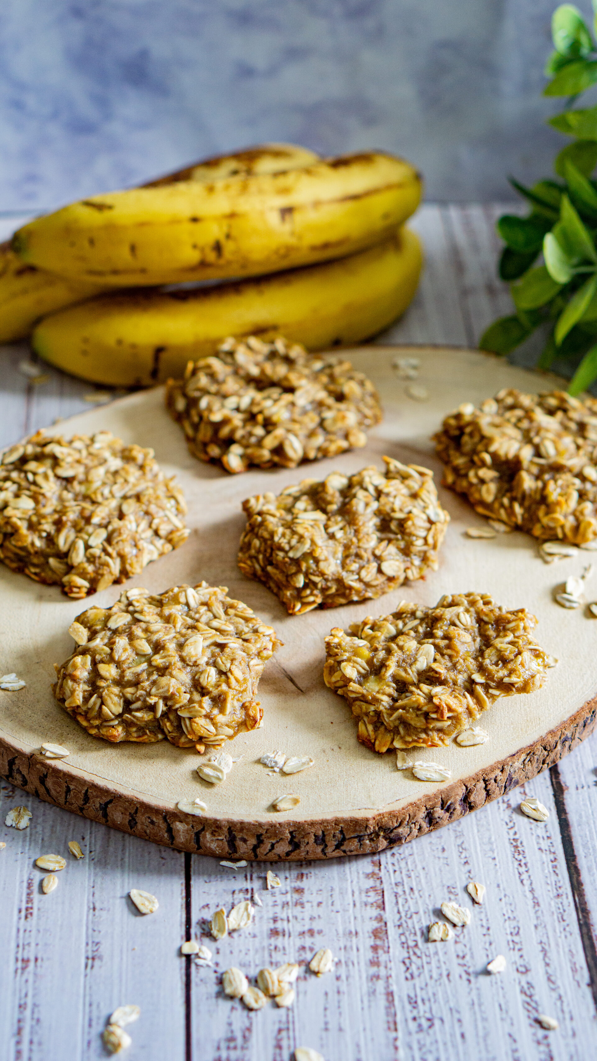 oatmeal cookies