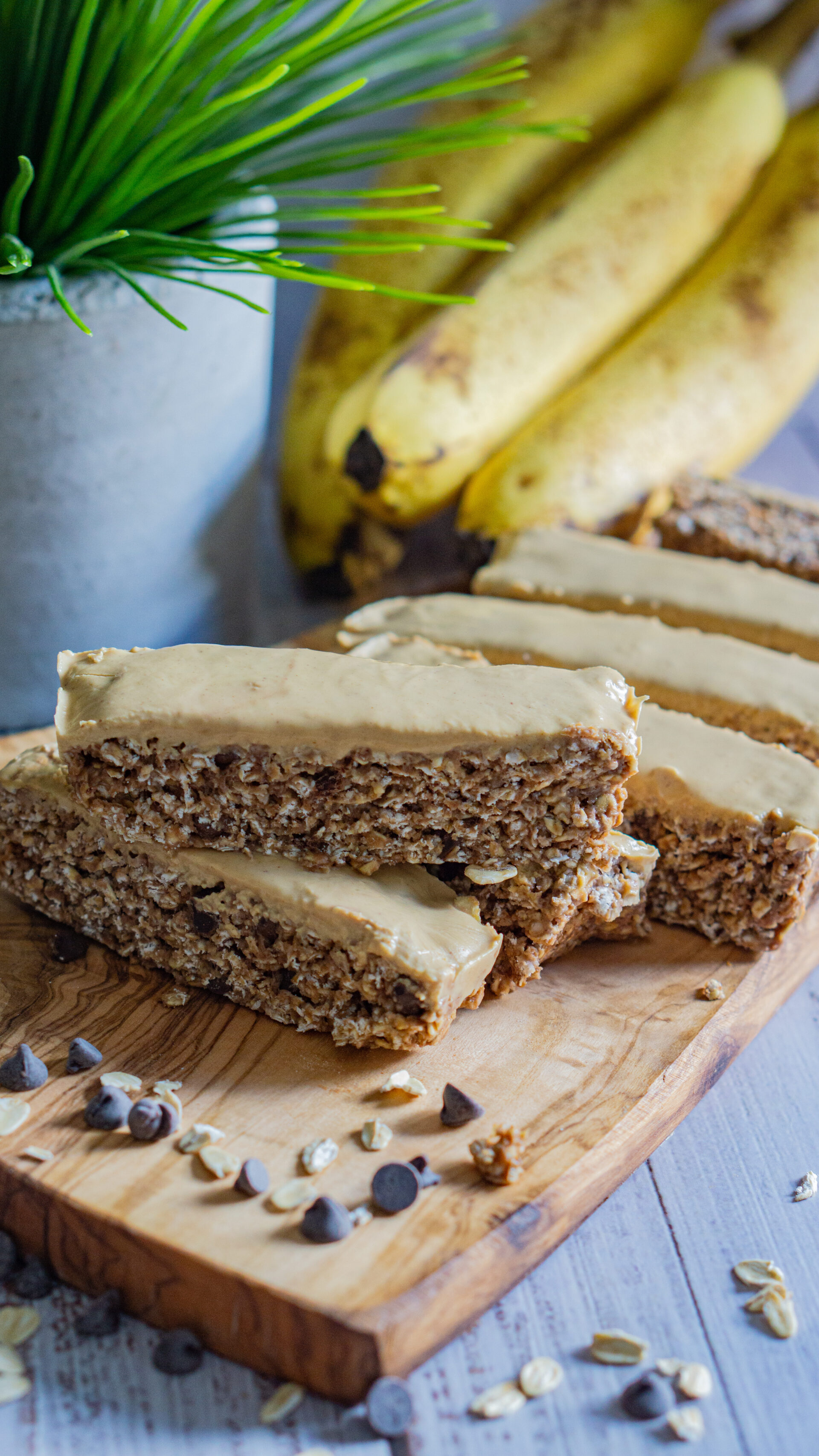vegan protein bars