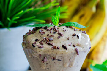 mint chocolate nice cream