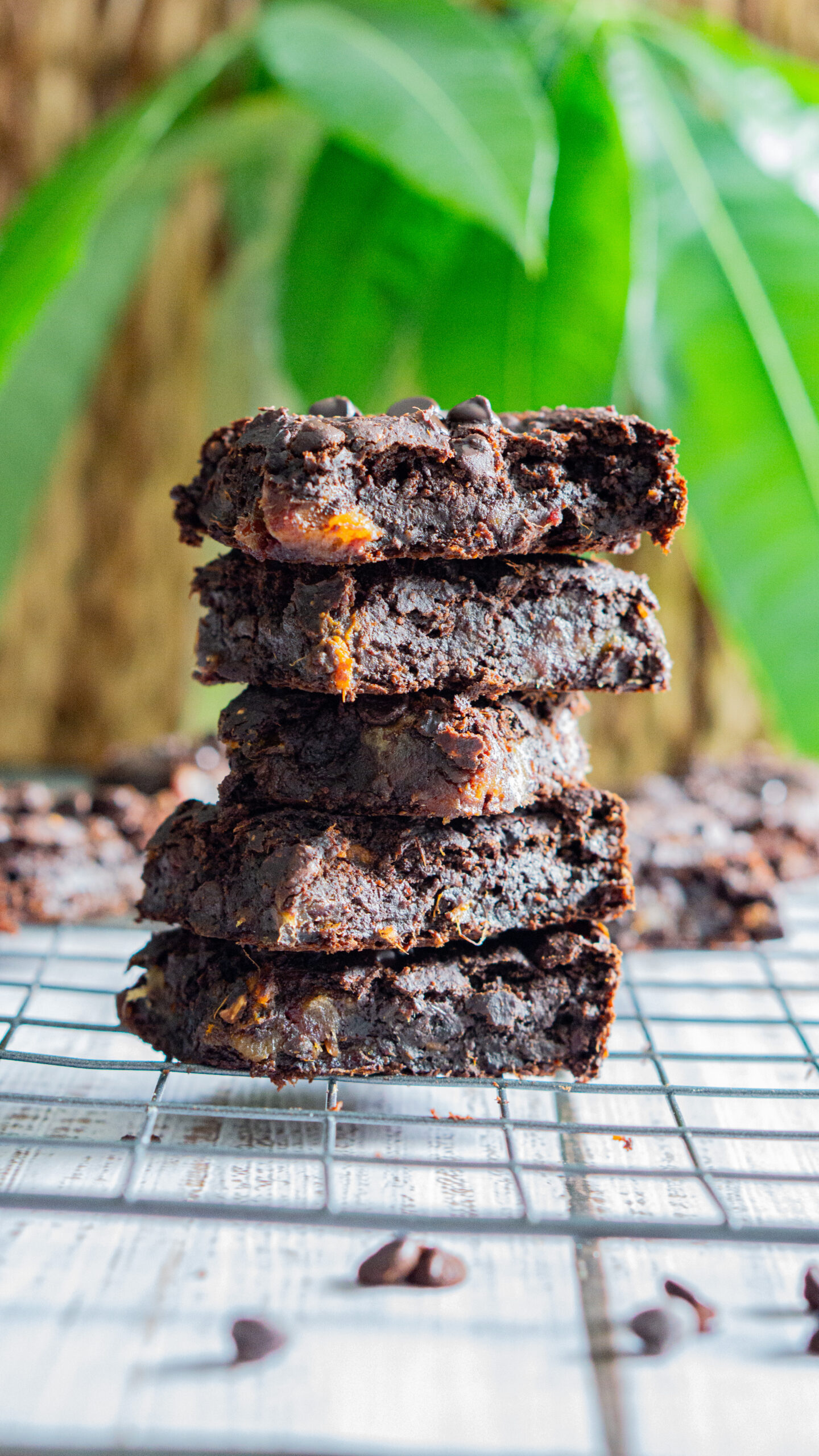 Sweet Potato Brownies