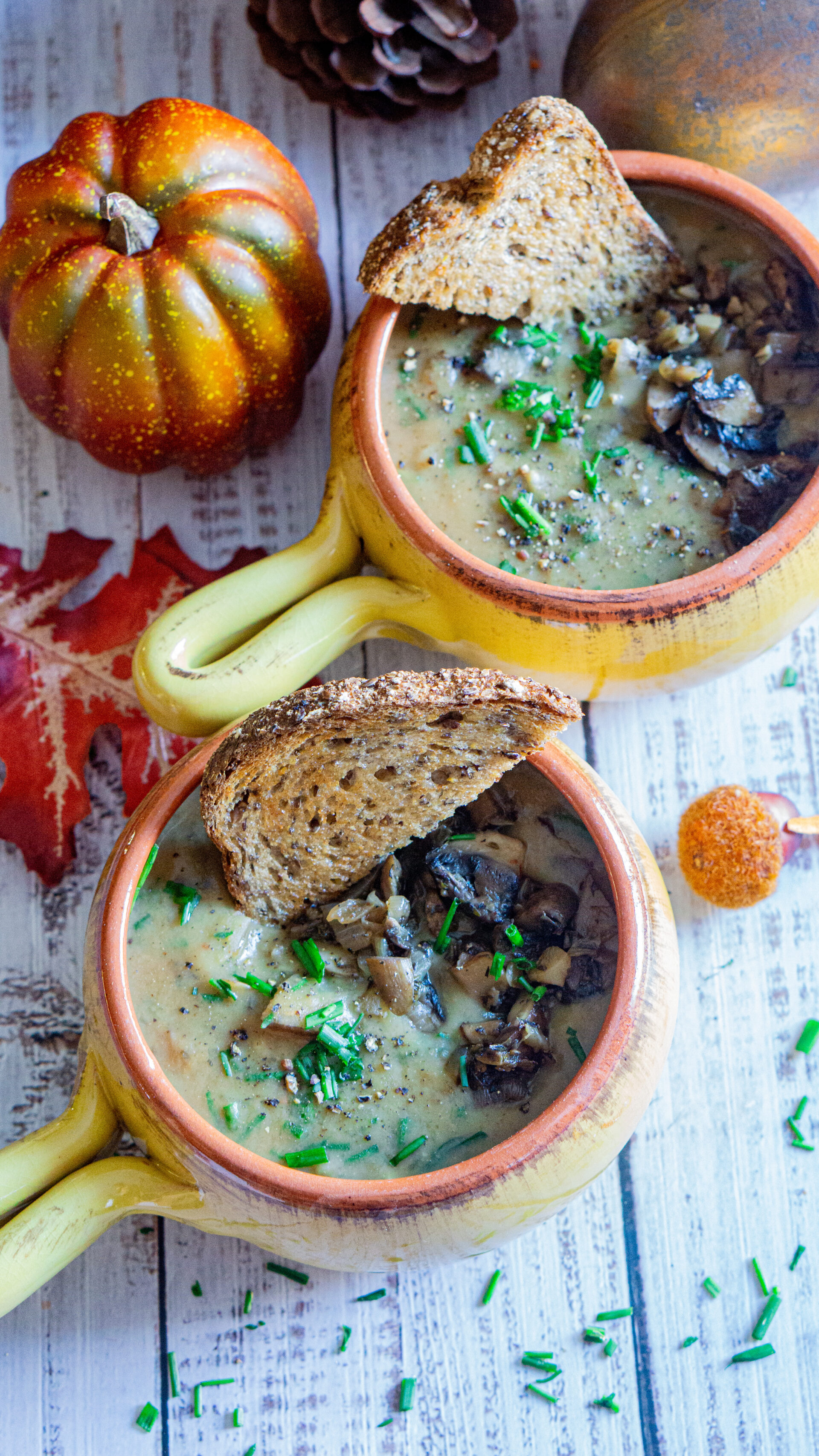 mushrooms soup