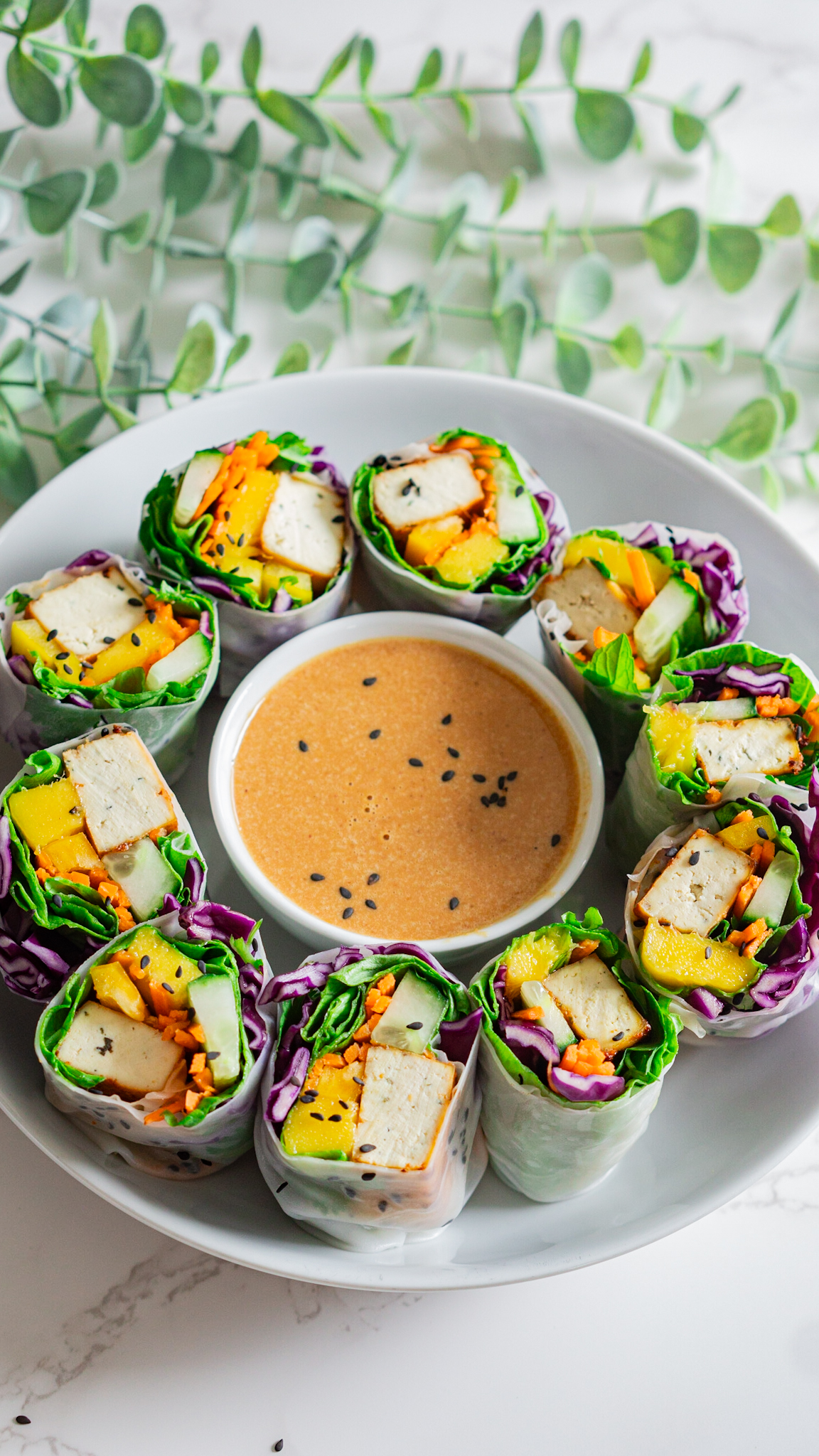 rice paper rolls