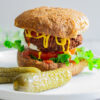 tvp burgers