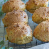 Seitan Buns