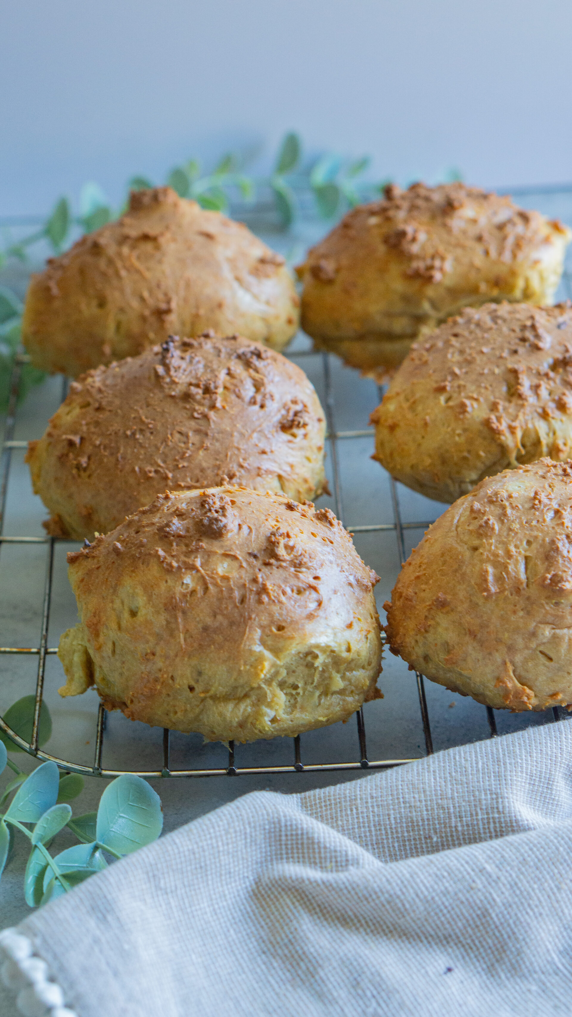 Seitan Buns