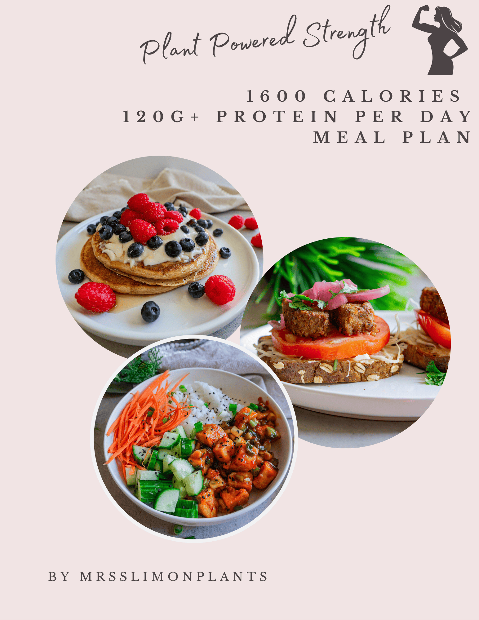 1,600-Calorie Vegan Meal Plan with 120g+ Protein Per Day